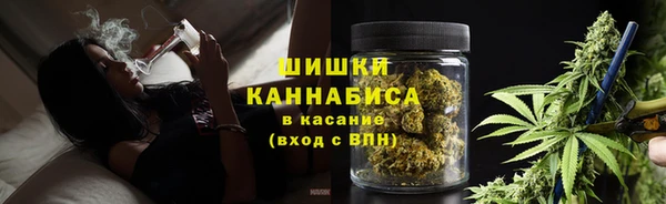 mdpv Богданович