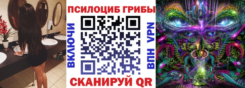 купить наркотики цена Кировград мориарти какой сайт Псилоцибиновые грибы Psilocybine cubensis